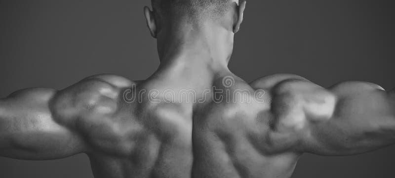 Hombre con el cuerpo y la parte posterior mojados musculares Deportista del coche que muestra el bíceps y el tríceps imagenes de archivo Hombre con el cuerpo y la parte posterior mojados musculares Deportista del coche que muestra el bíceps y el tríceps imagenes de archivo