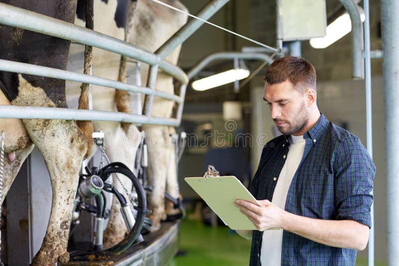 Hombre con el tablero y las vacas de ordeño en la granja lechera fotos de archivo Hombre con el tablero y las vacas de ordeño en la granja lechera fotos de archivo
