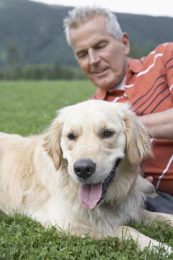 Hombre con golden retriever en hierba fotografía de archivo Hombre con golden retriever en hierba fotografía de archivo