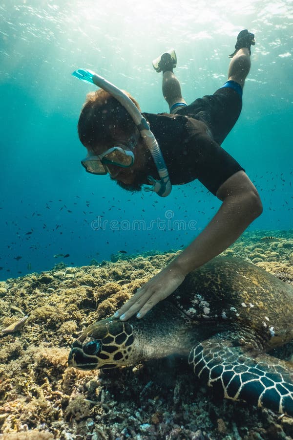 Hombre de Freediver con la tortuga de hawksbill, fotografía subacuática foto de archivo libre de regalías Hombre de Freediver con la tortuga de hawksbill, fotografía subacuática foto de archivo libre de regalías