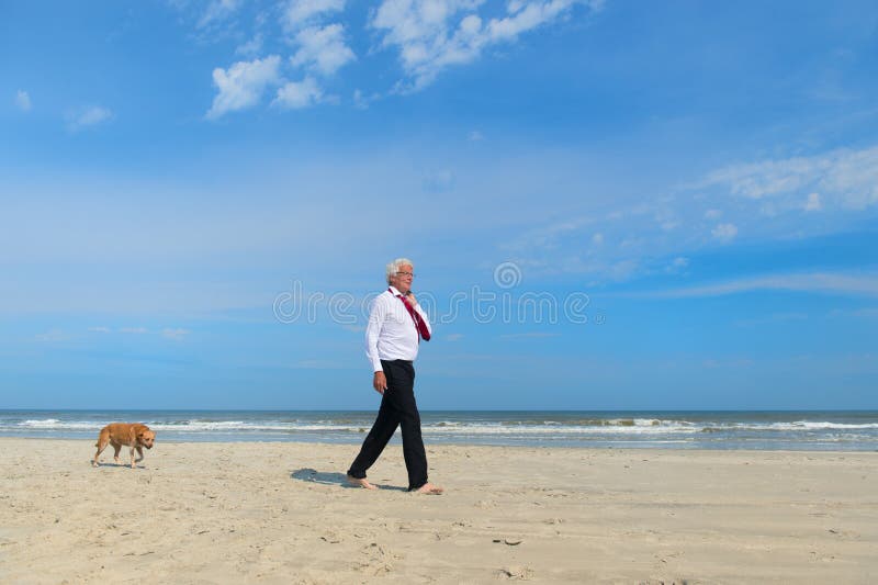 Hombre de negocios con el perro en la playa imagen de archivo Hombre de negocios con el perro en la playa imagen de archivo