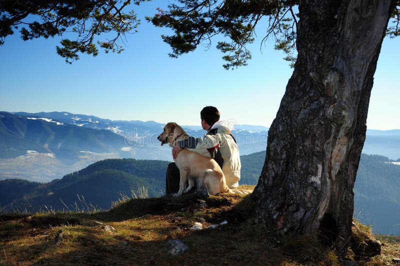 Hombre joven que disfruta de Mountain View con su perro fotografía de archivo libre de regalías