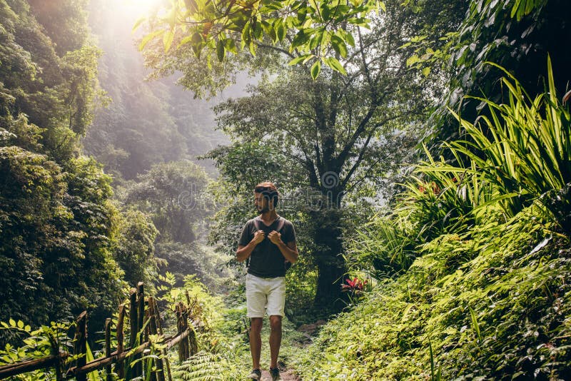 Hombre que camina en selva tropical enorme fotos de archivo Hombre que camina en selva tropical enorme fotos de archivo