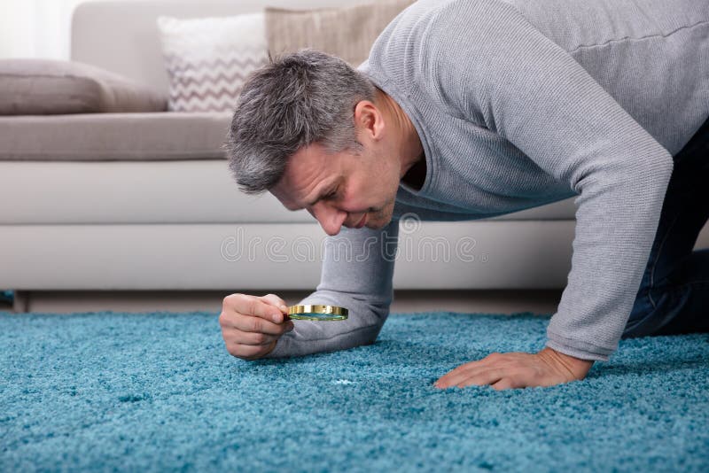 Side View Of A Mature Man Looking At Blue Carpet Through Magnifying Glass. Side View Of A Mature Man Looking At Blue Carpet Through Magnifying Glass