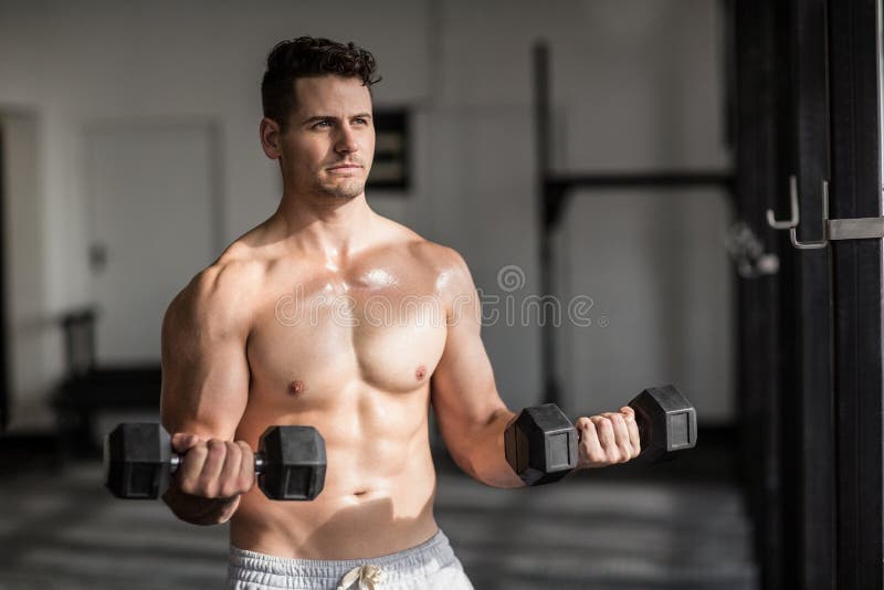Hombre serio muscular que hace levantamiento de pesas fotografía de archivo libre de regalías Hombre serio muscular que hace levantamiento de pesas fotografía de archivo libre de regalías