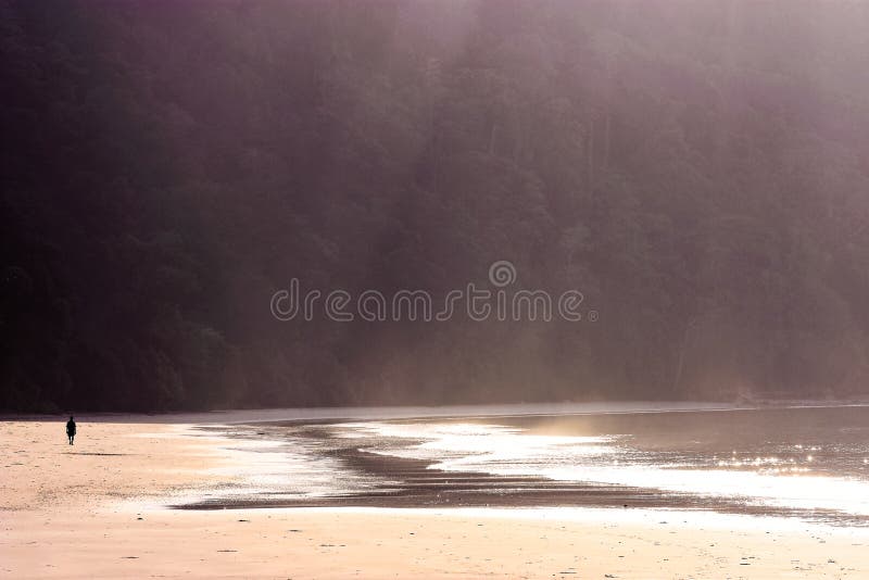 Hombre solo que camina en la playa imagenes de archivo Hombre solo que camina en la playa imagenes de archivo