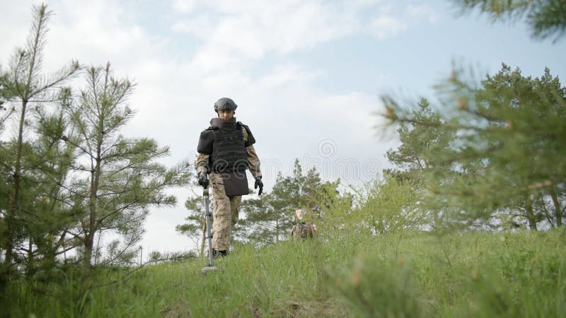 Hombre tratando de detectar la mina en el proceso de desminado en la hierba cerca de los pinos