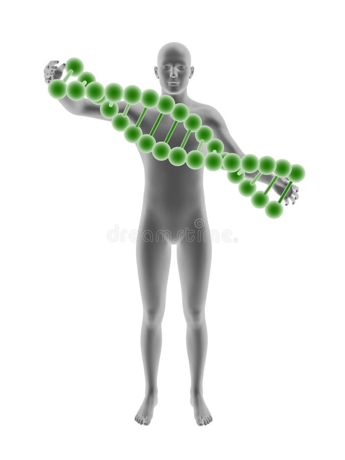 Hombre y DNA ilustración del vector Hombre y DNA ilustración del vector