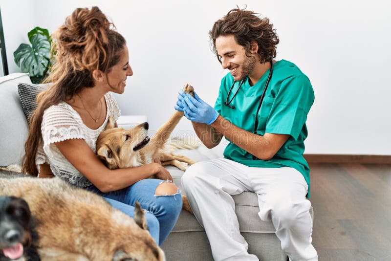 Hombre Y Mujer Con Uniforme Veterinario Examinando Al Perro En Casa Foto archivo de goce, guantes: 259133574