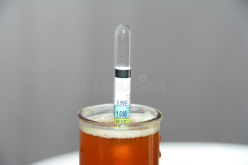 Home brew hydrometer stock photo. Image of bottle, liquid 83772288