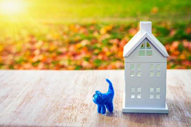 Home concept. toy pet cat near miniature house on green field background. The sun shines on house. Family and home insurance. royalty free stock photos Home concept. toy pet cat near miniature house on green field background. The sun shines on house. Family and home insurance. royalty free stock photos