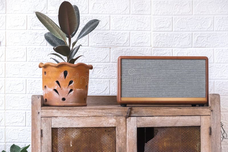 Bluetooth Speaker Hanging on Tree Trunk · Free Stock Photo