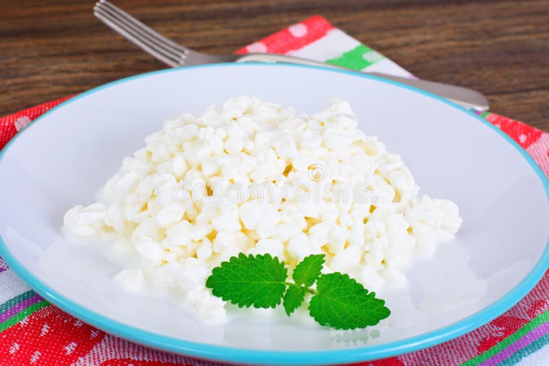 Home Dietary Fat Cottage Cheese Beaded Curd Stock Photo Image of