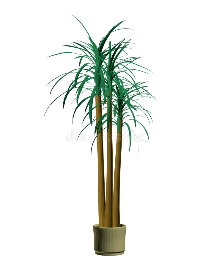 My Image 7