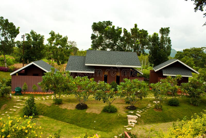 Home in the forest