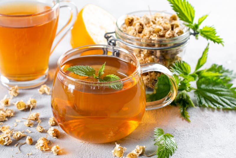 Herbal tea nettle stock photo. Image of congestive, acid 841424