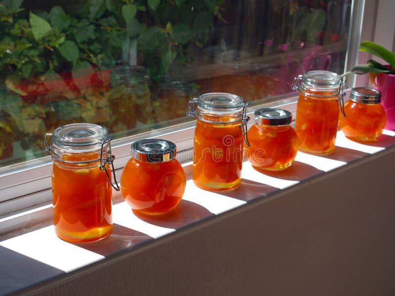 Home made apricot jam royalty free stock photos
