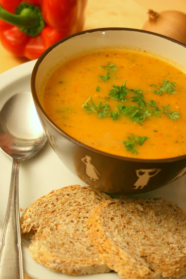 Home made soup royalty free stock image