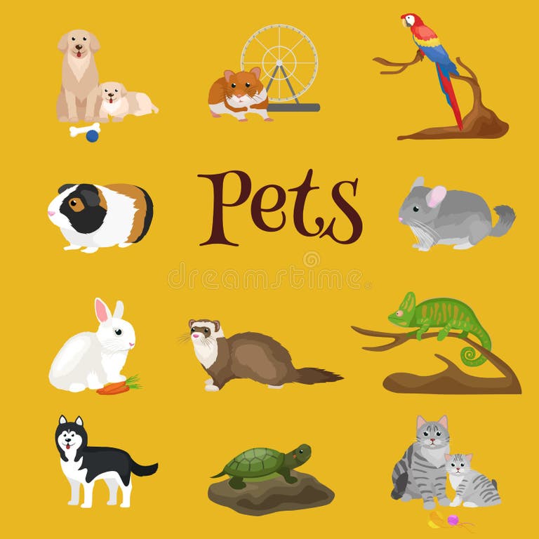 Cartoon Cat Dog Pets Stock Illustrations – 12,583 Cartoon Cat Dog Pets