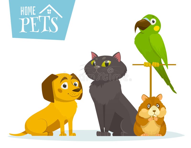 Home pets sitting in line, on white, vector cartoon illustration
