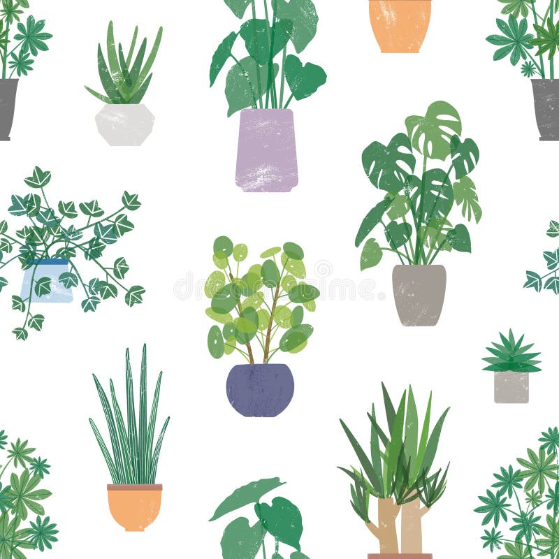 Home plants in ceramic pots vector seamless pattern. Domestic flowers colorful texture. Exotic houseplants in flowerpots.