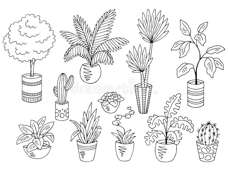 Featured image of post Black House Plant Clipart Over 50 355 house plant pictures to choose from with no signup needed