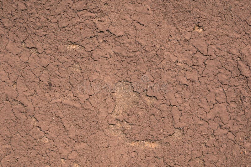 Home Soil Wall Texture stock photo. Image of earth, horizontal 44110368