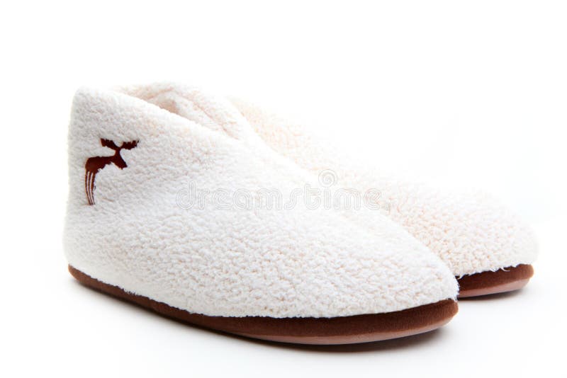 Shoe, on a White Background Cartoon Illustration. Stock Image - Image ...