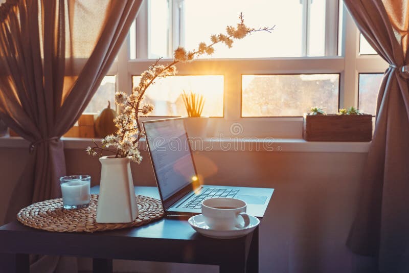 Home work place with laptop, cup of hot drink and blooming brunch in vase on coffee table near window on sunset or sunrise. Freelance, working from home stock image