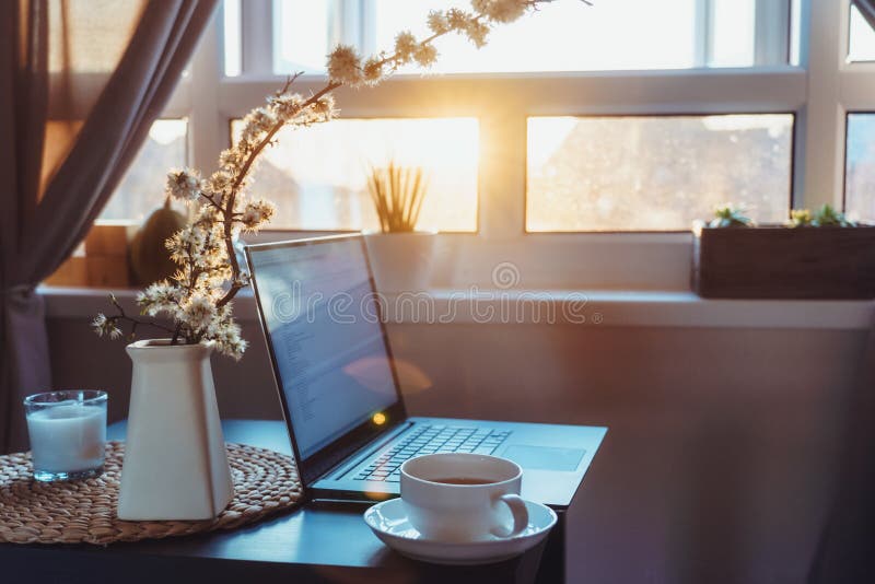 Home work place with laptop, cup of hot drink and blooming brunch in vase on coffee table near window on sunset or sunrise.