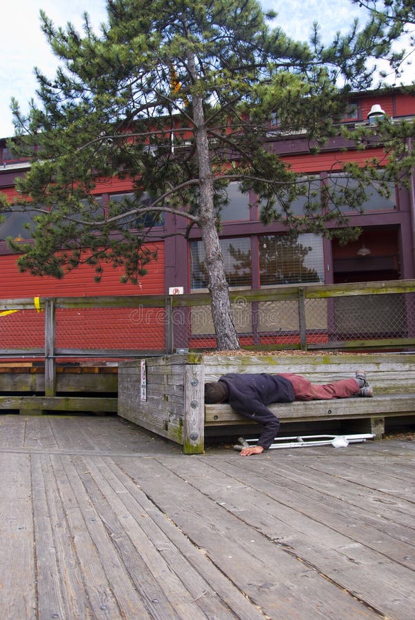 Homeless on a Bench Seattle Editorial Stock Photo Image of issue