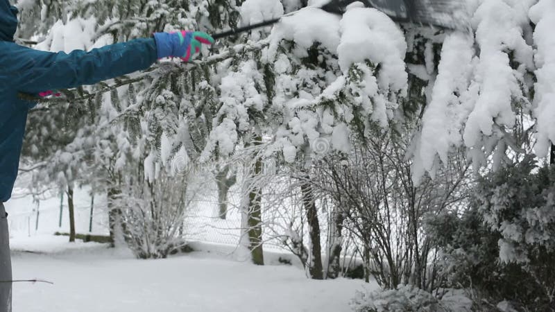 Homem adulto retirando neve de árvores no jardim
