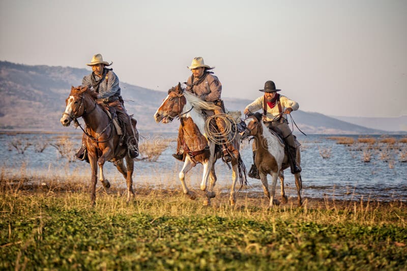 Orelhas Do Cavalo Na Frente De Uma Montanha Em Uma Tarde Do Por Do Sol  Imagem de Stock - Imagem de montanhas, elegante: 117089471