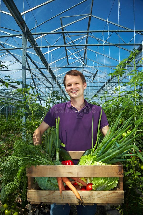 Happy farmer with vegetable box in a greenhouse. Happy farmer with vegetable box in a greenhouse