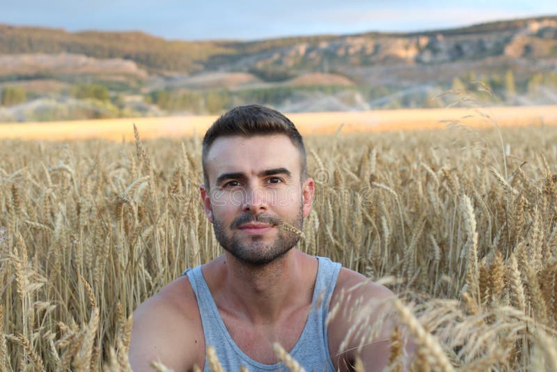 Homem considerável na paisagem ensolarada do campo de trigo Temporada de verão bonita, luz sonhadora morna do por do sol sobre o fotos de stock Homem considerável na paisagem ensolarada do campo de trigo Temporada de verão bonita, luz sonhadora morna do por do sol sobre o fotos de stock