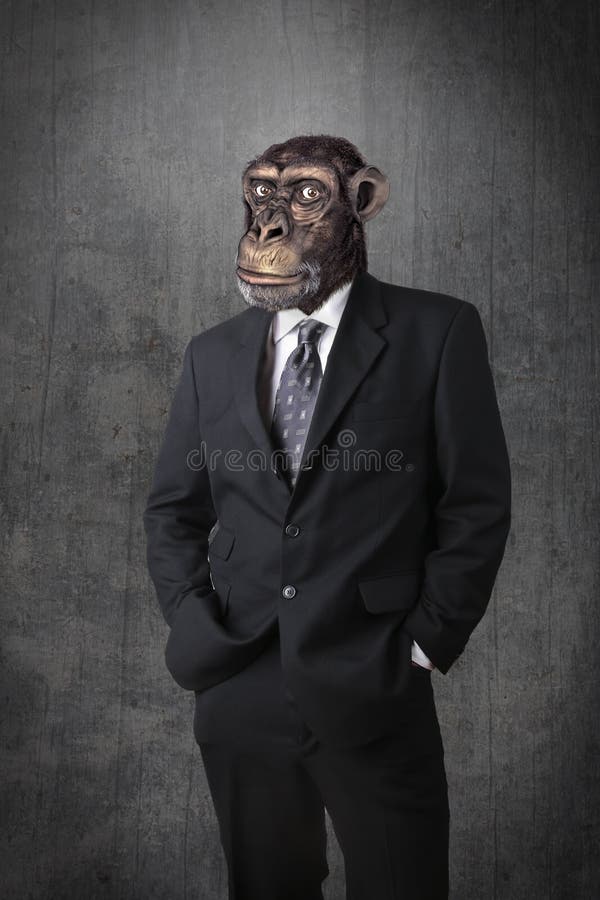 Homem de negócios do macaco foto de stock royalty free Homem de negócios do macaco foto de stock royalty free