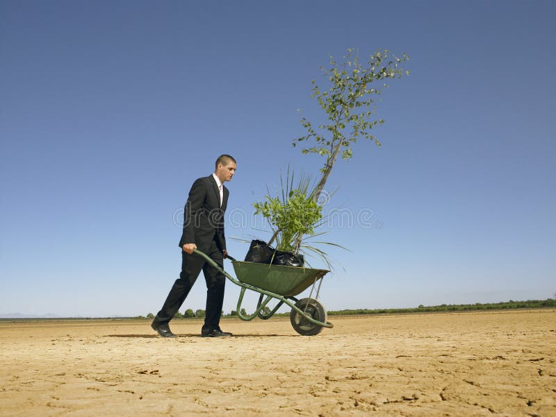 Homem de negócios plantando árvore no deserto, em comprimento integral