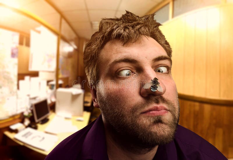 Homem de negócios que olha a mosca imagens de stock Homem de negócios que olha a mosca imagens de stock
