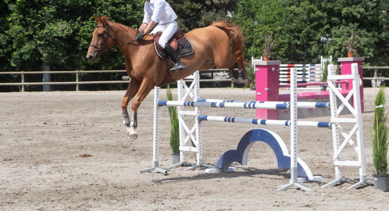 Foto De Stock Cavalo Pulando Cruz País Cerca