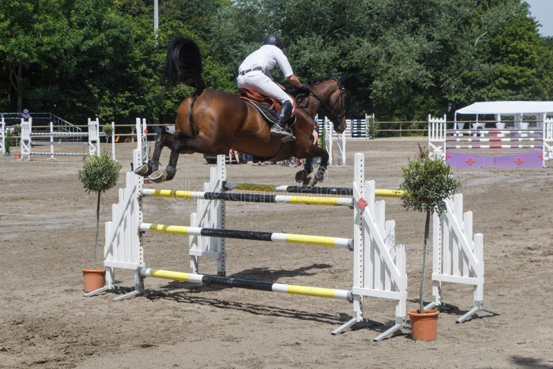 Homem E Cavalo Pulando Uma Cerca Foto de Stock - Imagem de sela, animal:  247580984