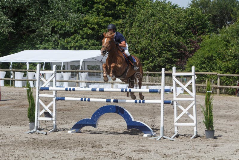 Homem e cavalo pulando uma cerca, placa 643 de &39;Animal