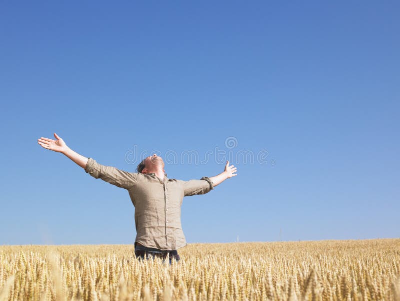 Homem no campo de trigo com os braços Outstretched