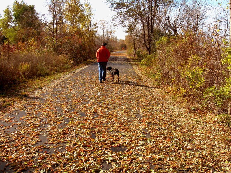 Homem que anda o cão no outono