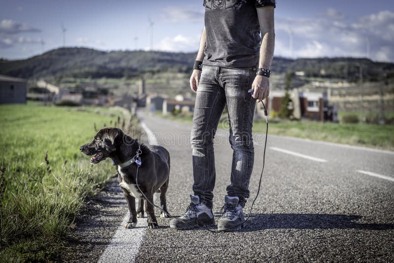 Homem que anda seu cão na estrada imagens de stock Homem que anda seu cão na estrada imagens de stock