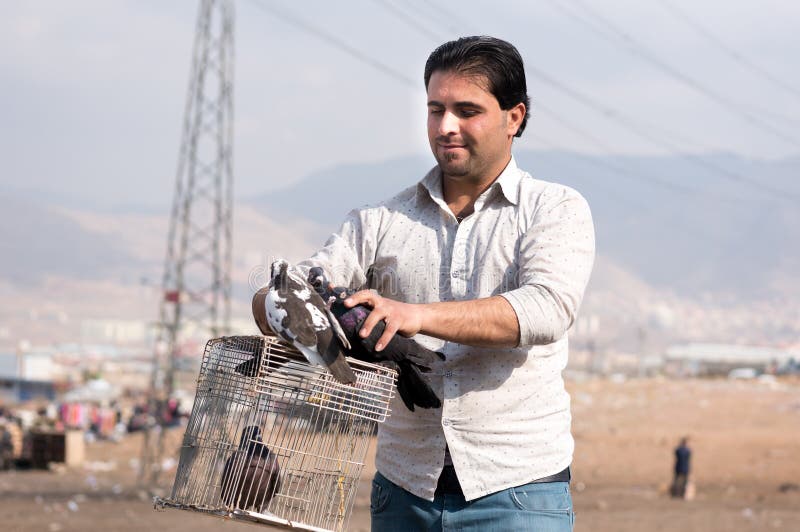 Homem que guarda uma gaiola e pombos fotos de stock royalty free