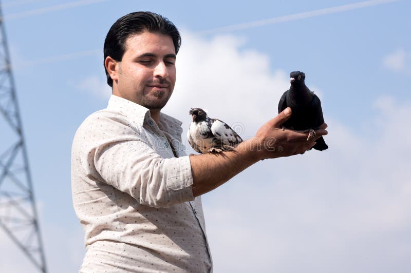 Homem que guarda uma pomba e um pombo fotos de stock