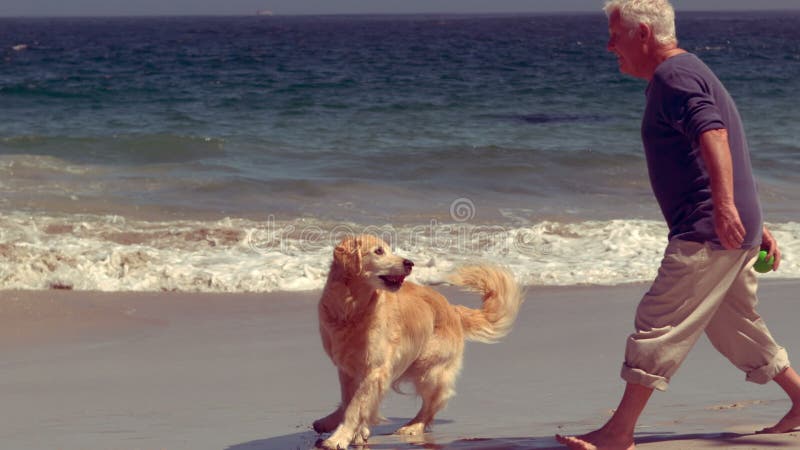 Homem superior alegre que joga com cão filme