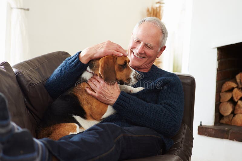 Homem superior que relaxa em casa com cão de estimação imagens de stock royalty free Homem superior que relaxa em casa com cão de estimação imagens de stock royalty free