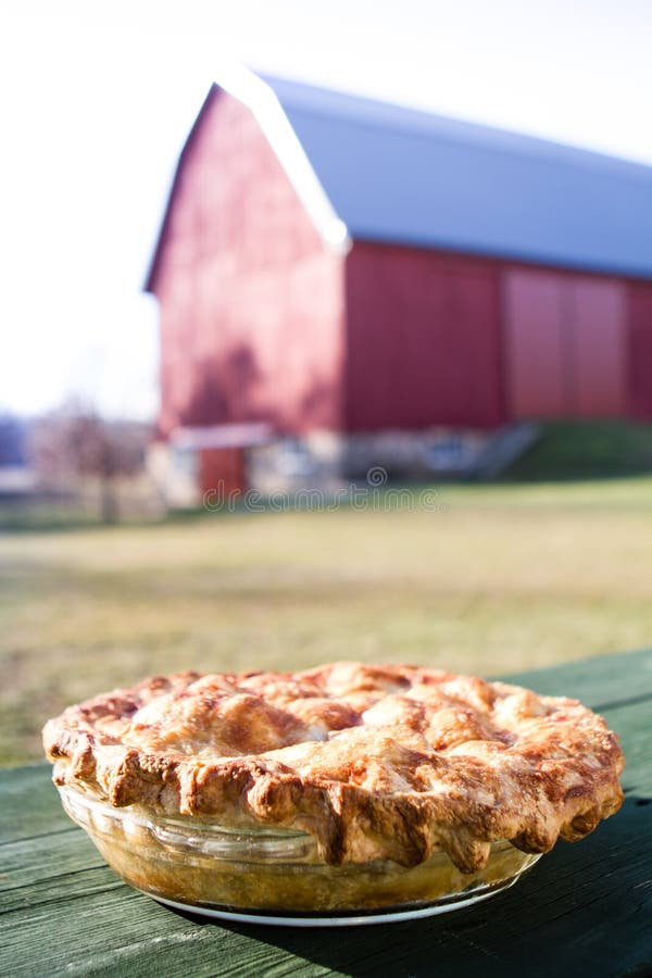 Homemade Apple Pie On A Wooden Picnic Table Stock Image ...