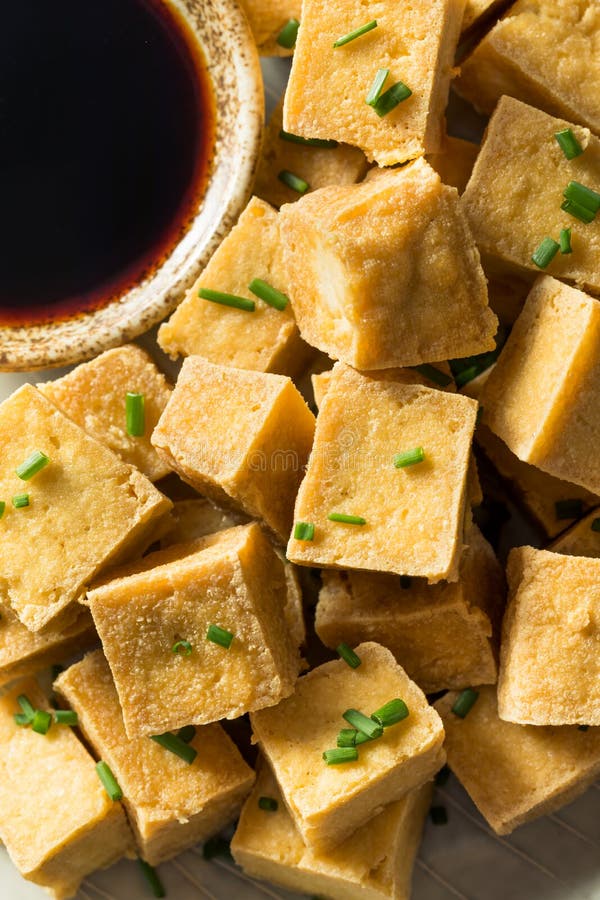 Homemade Asian Fried Tofu Cubes Stock Image - Image of nutrition, food